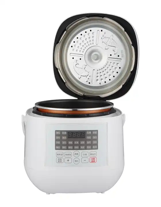 ZH-A310 Multifunzionale Cucina Domestica Elettrica Pressure Cooker Factory Custom Wholesale Rice Cooker 